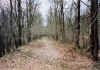 Bahndamm kurz vor dem Bf. Kupferberg, Blick in Richtung Sd-West (27.3.04), (c) Bjrn G.